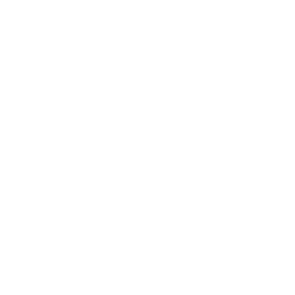 Sports Car Icon